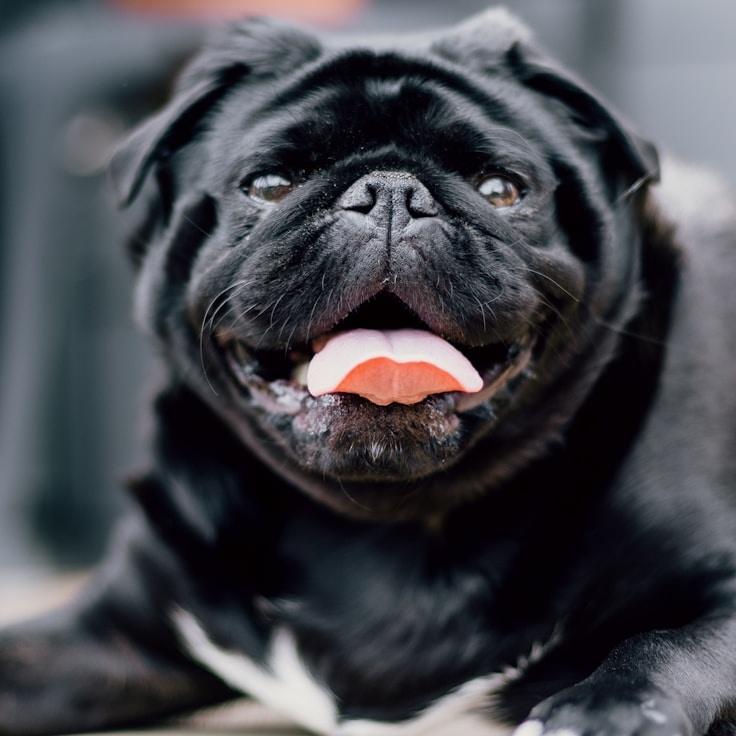 Landscape day trip near Zürich, Switzerland